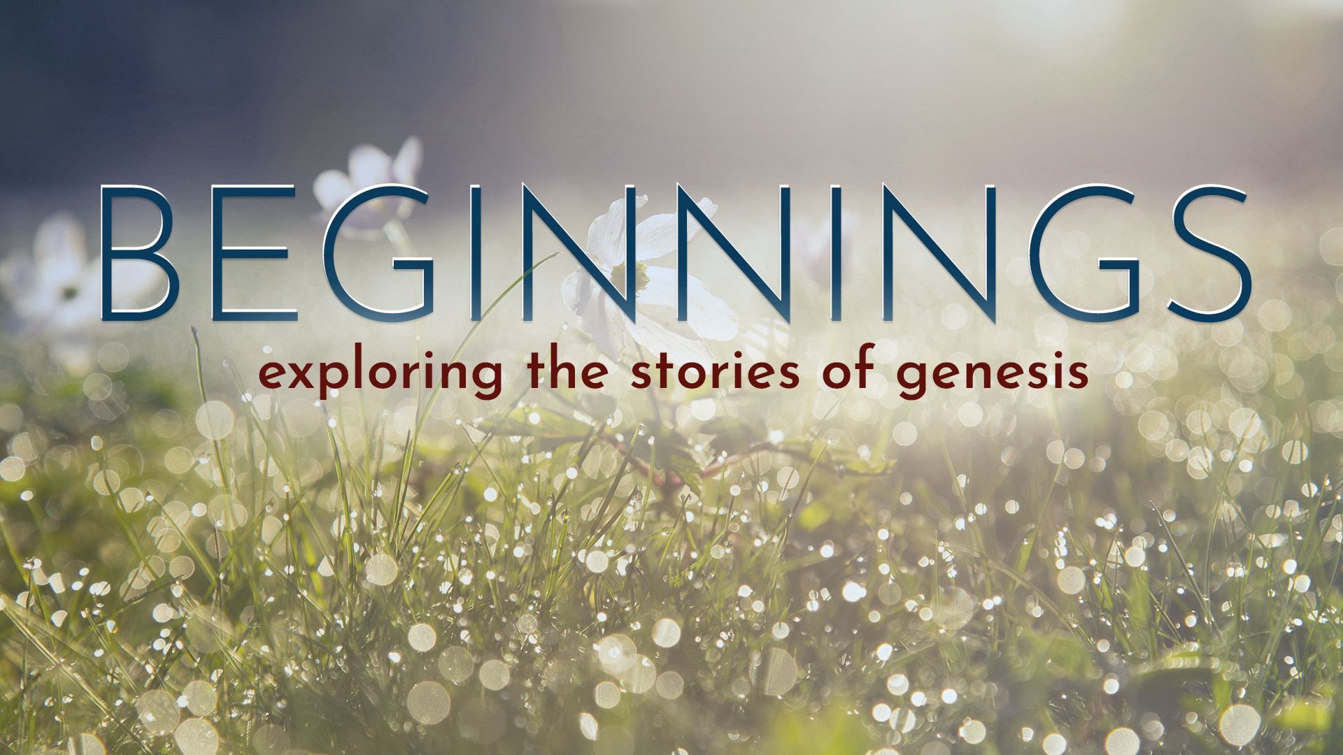 The Beginning Of A New Beginning  Genesis 28:10-22